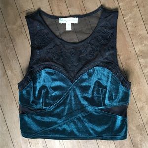 UO Velvet and Embroidered Lace Crop Top